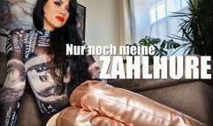 Nur noch meine Zahlhure (kleine Version)