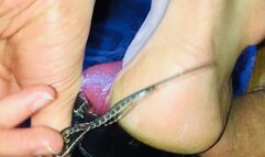 Platform cock crushing