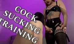 COCK SUCKING TRAINING (1080p)