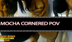 Mocha Cornered POV MPEG4
