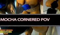 Mocha Cornered POV 4K