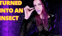 TURNED INTO AN INSECT