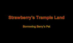 Borrowing Berrys Pet