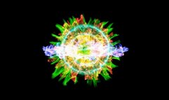 Viper in Germany fantasy wrestling match