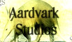 SiteSet 388 So Kates Could Not Crack It.