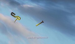 Army Discipline 3 HD SPECIAL OFFER