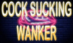 COCK SUCKING WANKER