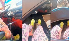 Driving VW Old Beetle 01