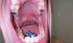 Jonathan Swallows Tiny Loser