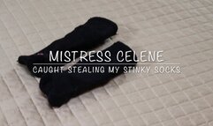 Caught Stealing my Stinky Socks