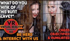Slave Sale Humiliation - 180VR 3D Femdom