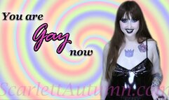 You are Gay now - MP4 SD 480p