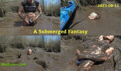 A Submerged Fantasy, 2023-08-11
