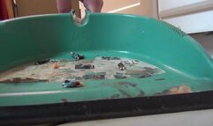 Nichole's Dance Class Session!