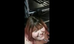 BBW made to walk on all fours to cage