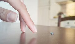 Tiny in Giantess' hand