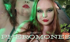 Poison Ivy's Pheromones