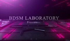 Youve Been Clamped 5