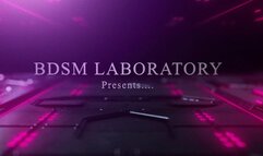 Youve Been Clamped 4