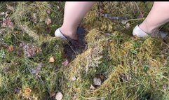 Finding the boundry plot