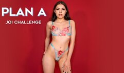 JOI Challenge - Plan A