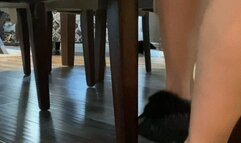 Feet under chair- removing Moccasins