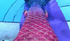 Carissa in her new mermaid tail