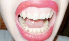 teeth tour -admire my teeth very close to the camera -