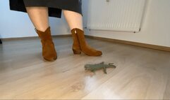 Lizard trampling in boots