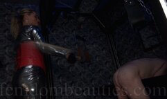 SYONERA VON STYX - I HATE WHITE ASSES