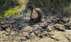 Desperate Resistance