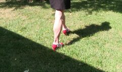 Pink Fox, the walk in the yard, the pumping up