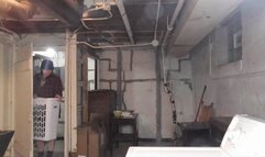 WISCONSIN NEIGHBOR HUMPS DRYER