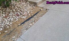 Shoeplaying Latina babe in socks spying on feet 720P