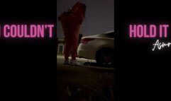 I couldn't Hold it ASMR