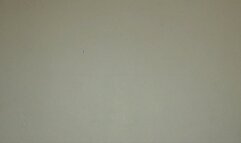 Facesitting Oral POV Cucking