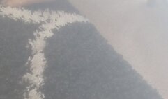 Watching Those Big Round Heels (Nov 2023)