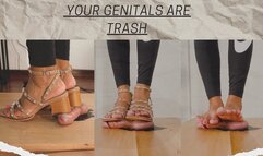 BREAKING IN THE COCKBOX - Mistress Enola - Ballbusting - Stomping 4K