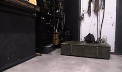 this puppy get a nice but plug tail