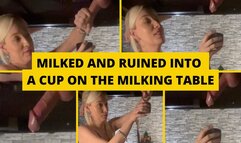 Milked and ruined into a cup on the milking table