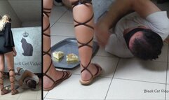 Licking Alice flat gladiators (two cameras)