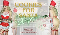 Cookies for Stepson (480WMV)