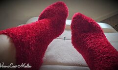 Sock Addicted Step-Bro