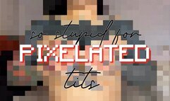 So Stupid For Pixelated Tits