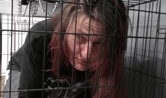 A Beating To Remember: 4K HD