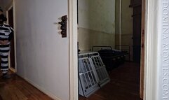 Prisoner #27 returns for imprisonment - Chapter SEVEN