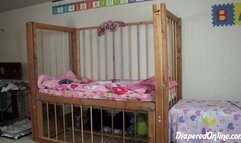 Taylor: Suppositories at Bedtime