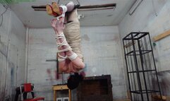 TS slut hangs in an inverted hogtie strap-on face fucked and made to cum (WMV HD 8000kbps)