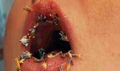 Unlucky lunch for Giantess Diana MP4