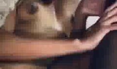 She is So Horny for Two BBC Making Love For Each Other